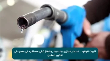 تثبيت الوقود.. أسعار البنزين والسولار والغاز تبقى مستقرة في مصر حتى أكتوبر المقبل